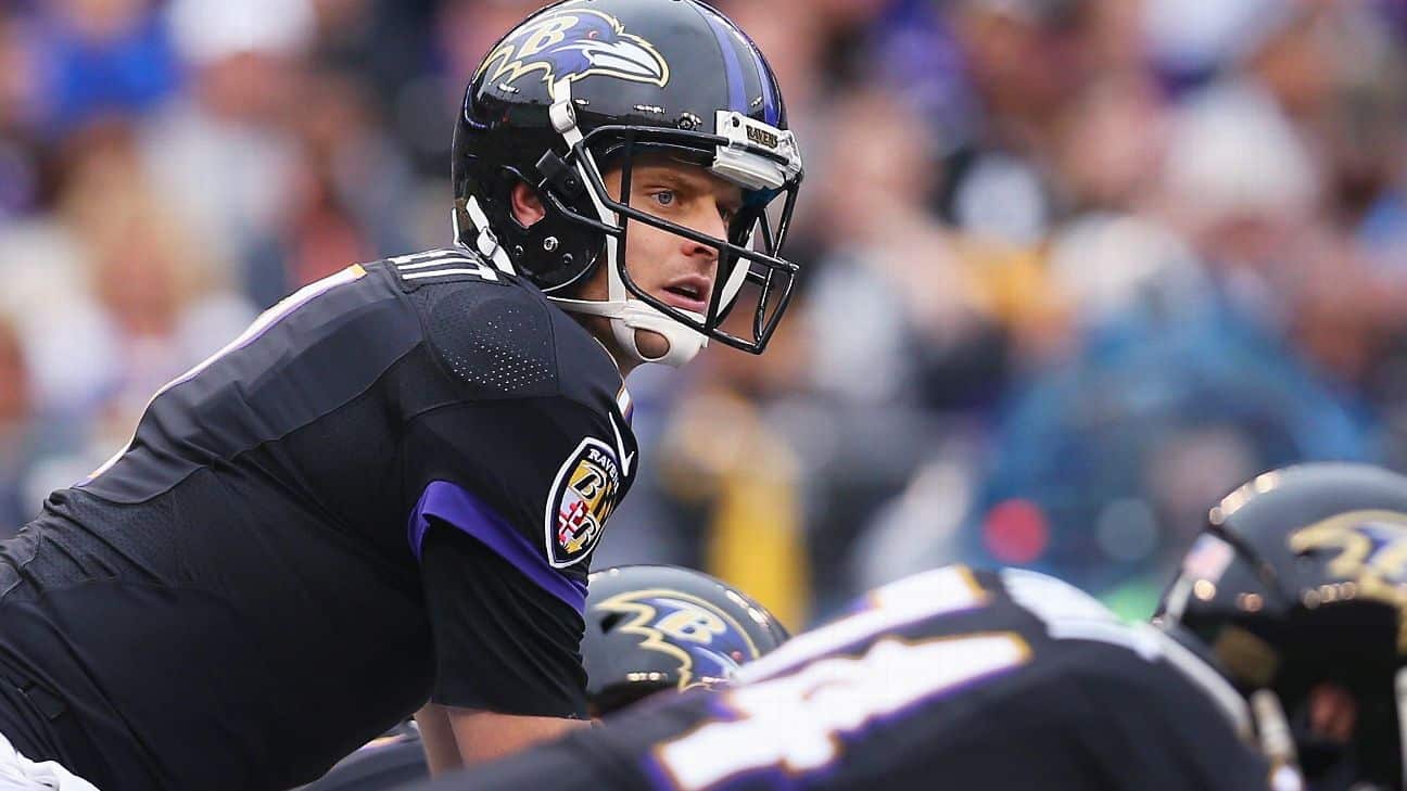 NFL, Ryan Mallett