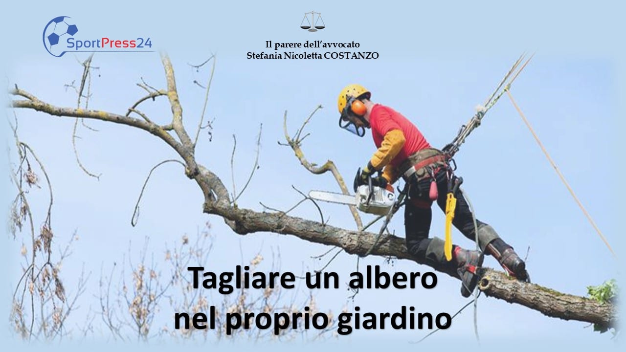 Taglio albero nel giardino privato (Immagine a cura della Redazione)