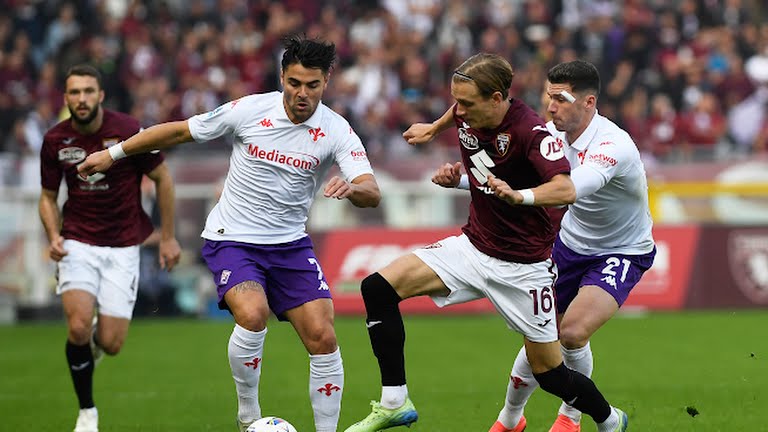 torino-fiorentina 0-1